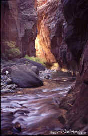 The Narrows - Zion National Park