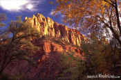 The Watchman - Zion National Park