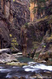 The Narrows - Zion National Park