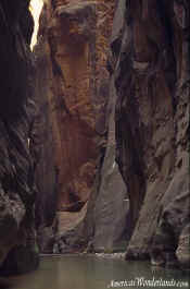 The Narrows - Zion National Park