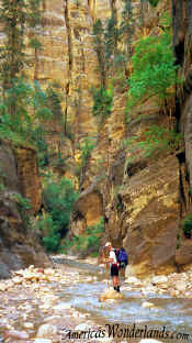 The Narrows - Zion National Park