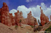 Hoodoos - Bryce Canyon National Park