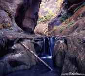 Orderville Canyon - Zion National Park