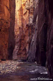 The Narrows - Zion National Park