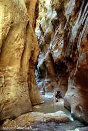 Orderville Canyon - Zion National Park