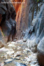 Orderville Canyon - Zion National Park