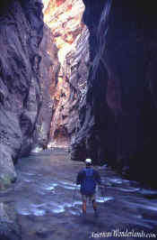 The Narrows - Zion National Park