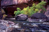 The Narrows - Zion National Park