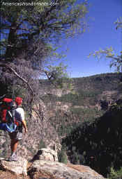 hiking in the gila wilderness area new mexico
