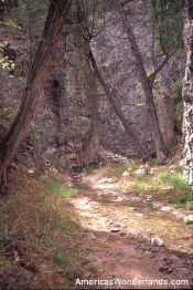 little bear canyon - gila wilderness