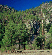 the meadows gila wilderness