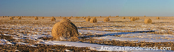 kansas cut hay