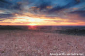 Konza Prairie Kansas