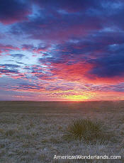 kansas sunset