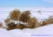 western kansas snowscape