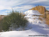 wester kansas fence line