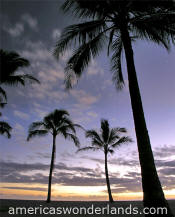 hawaii photos - salt pond beach