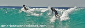 kekaha beach surfers