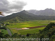 hanalei lookout