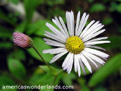 weminuche wilderness