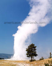 old faithful yellowstone