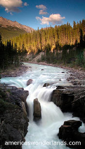 sunwapta falls jasper national park