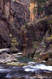 The Narrows - Zion National park