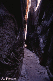 canyonlands joint trail