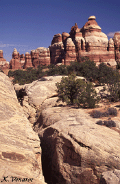 canyonlands joint trail