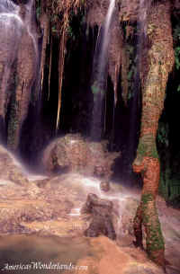 Eden - Supai, Arizona