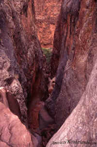 Side Canyon - Supai, Arizona