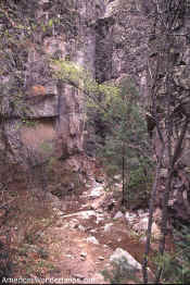 little bear canyon photo gila wilderness new mexico