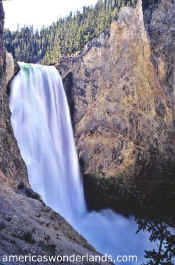 LOWER FALLS - Yellowstone