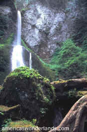 marymere falls - olympic national park washington