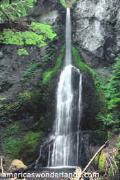 marymere falls olympic national park