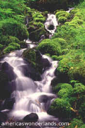 olympic national park washington