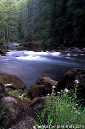 lewis river washington