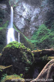 marymere falls olympic national park