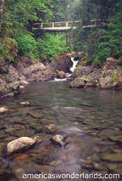 olympic national park washington