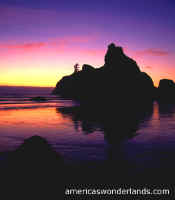 ruby beach olympic national park washington