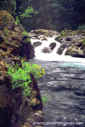 salmon cascades olympic national park washington